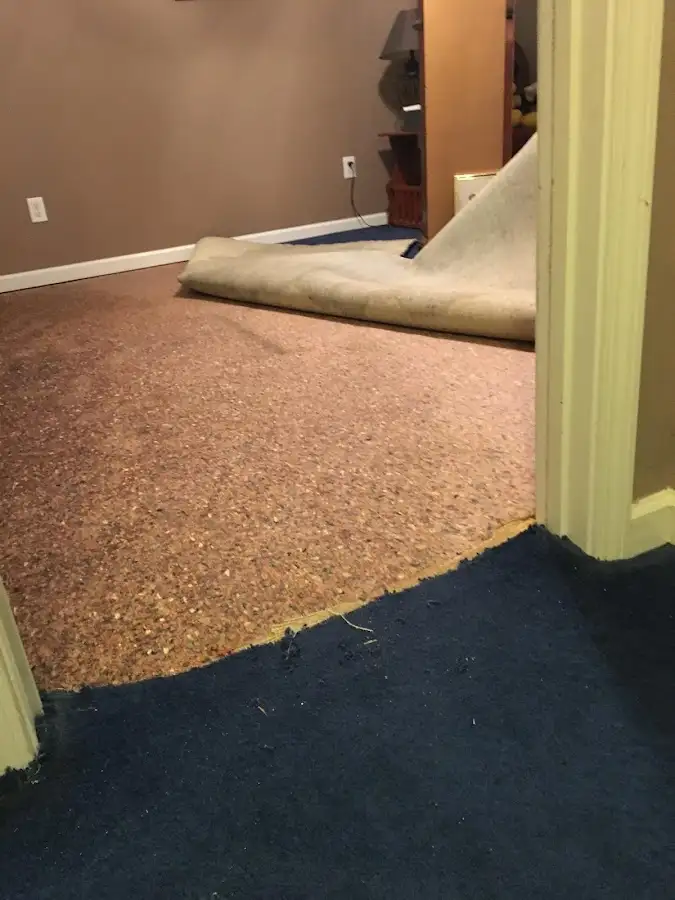 Carpet pad removal revealing water damage during Water Mitigation Services in Hamilton